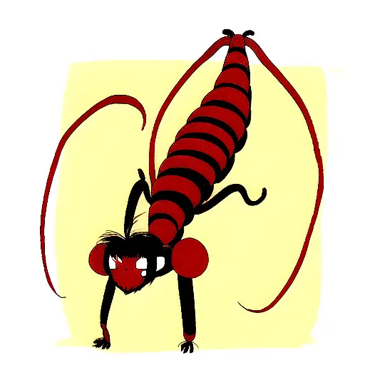 Red Yellow Black Centipede