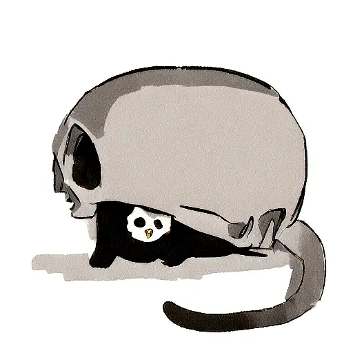 A Small Black Cat Resting On A Skull