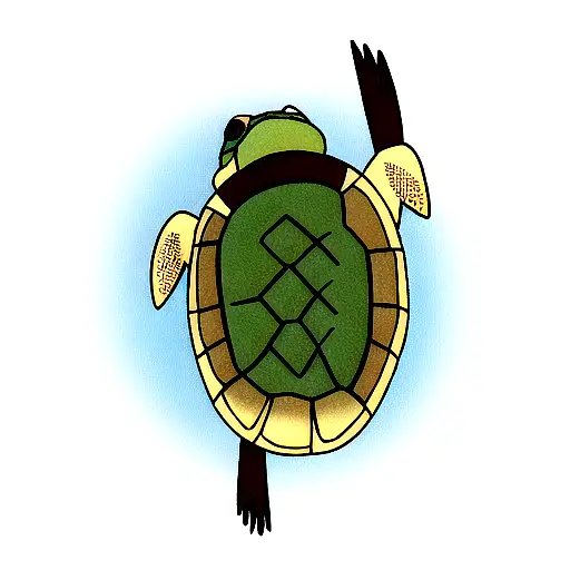 Turtle Fly