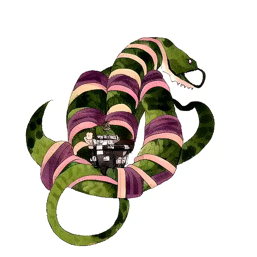 Snake Wrapped Around A Typewriter