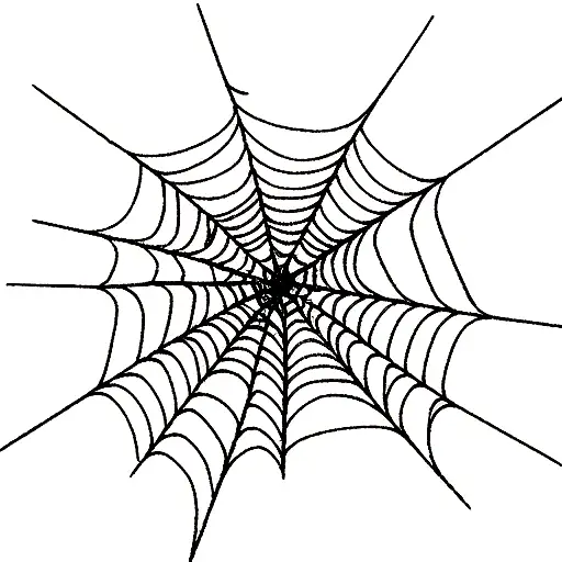 Spider Web Webs In The Middle
