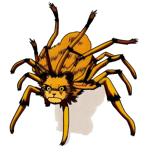 Lion Spider
