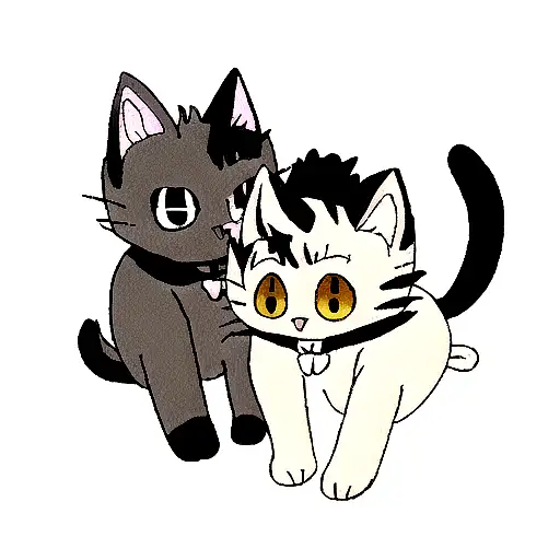 Black-white Cat And Cinnamon Tortie Cat