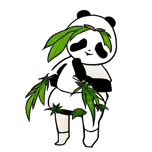 Panda With Cannabis