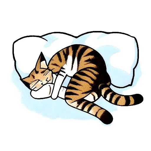 Cat Sleeping