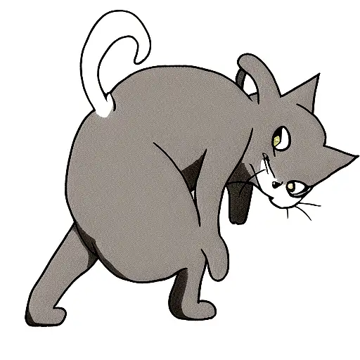 Black And White Cat Standing On Back Foots