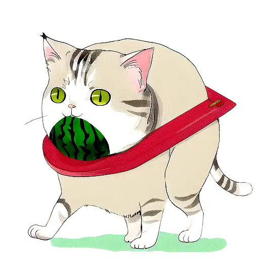 Cat Watermelon