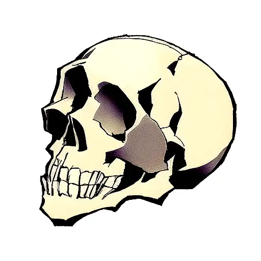 Skull