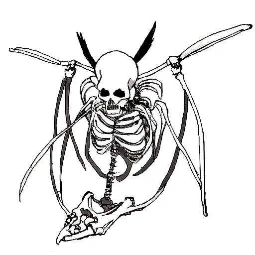 Skeleton Wings
