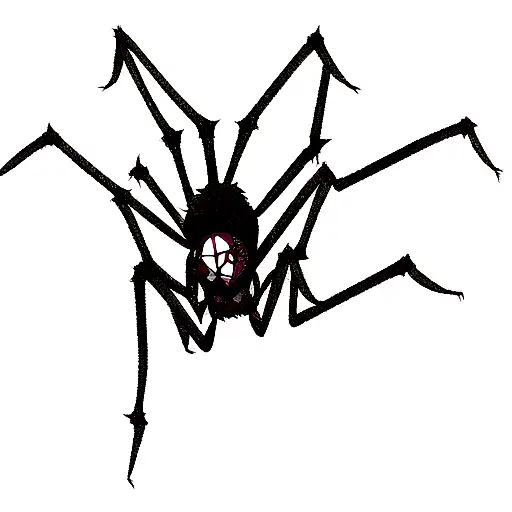 Spider