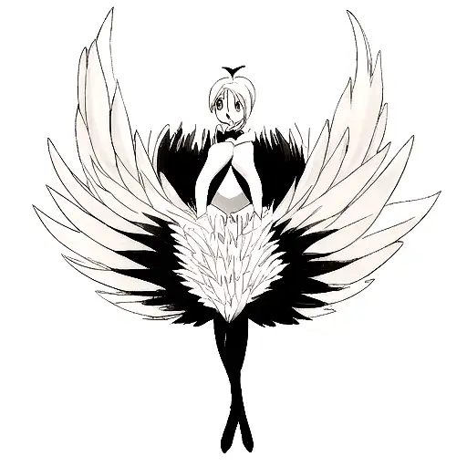 Black And White Swan Feathers Elegant