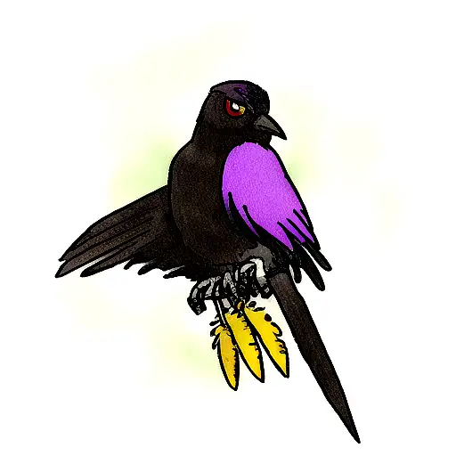 Raven With 3 Feather
