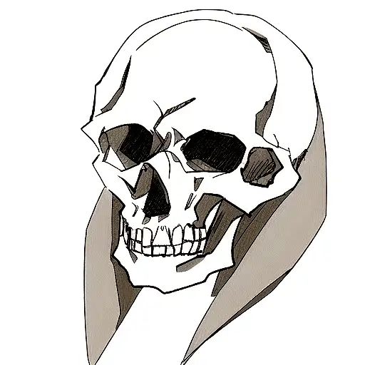 Skull