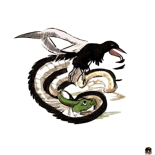 A Snake And A Raven Fighting Each Other