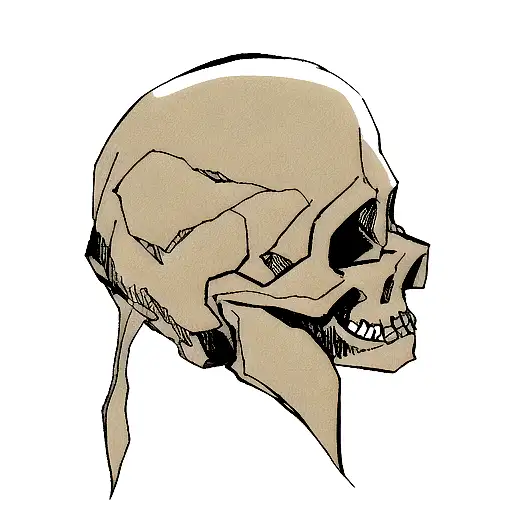 Skull