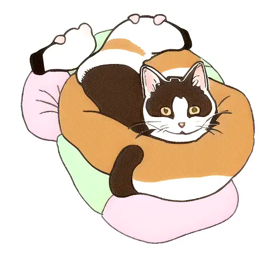 Calico Cat Sleeping In A Shoe