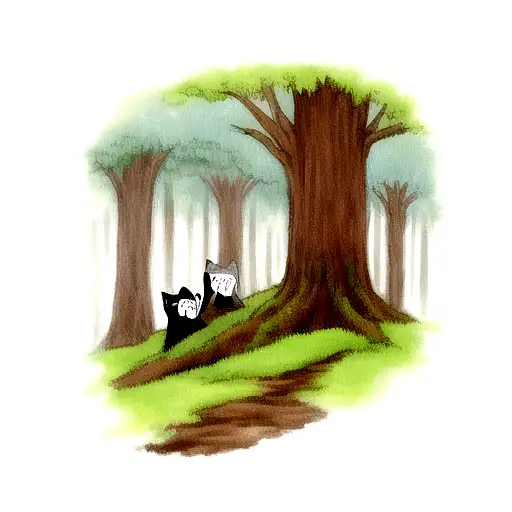 Forest