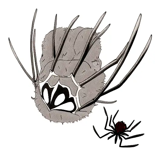 Spider