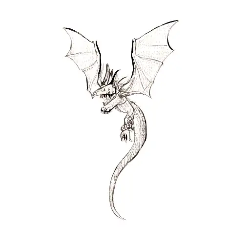 A Dragon