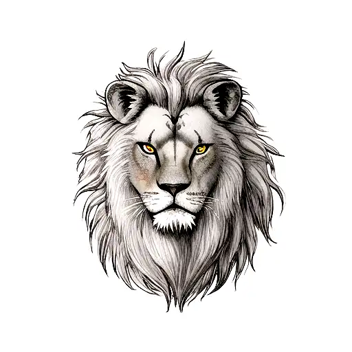 Lion With Scar On Eye