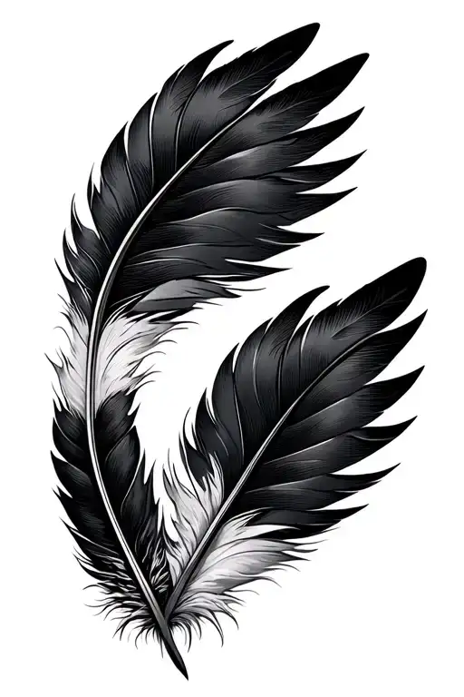 Two Eagle Feathers