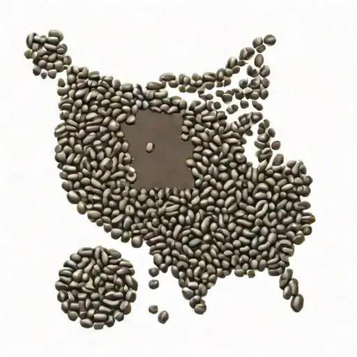 A Map Of The United States Made Out Of Coffee Beans With A Coffee Cup Marking The Client's Hometown