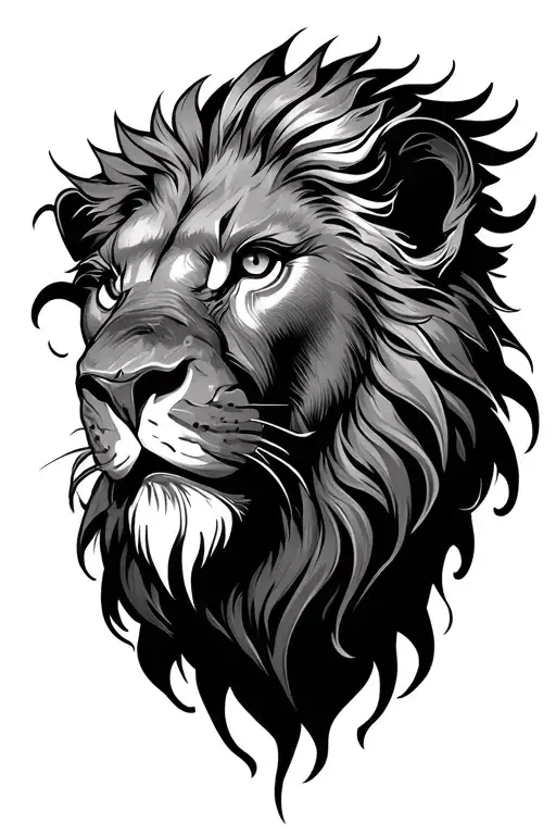 Damage Head Of Old Lion