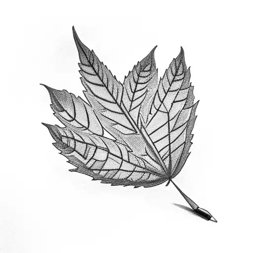 A Weed Leaf Intertwined With A Lighter