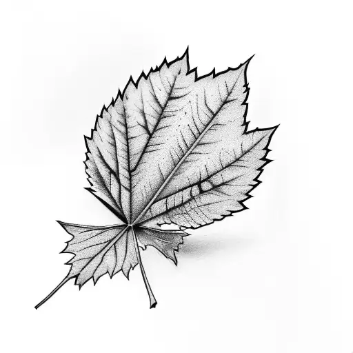 Leaf