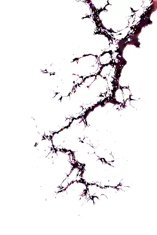 Anime Style Wilted Sakura Tree Branches