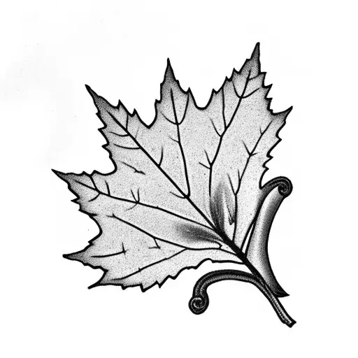 Maple Leaf With An Ermine