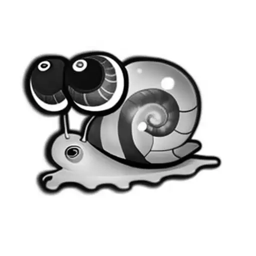 A Snail On A Black Background