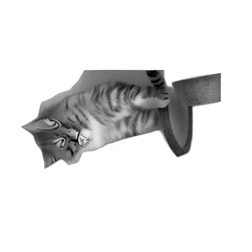 A Cat On A Scratching Post