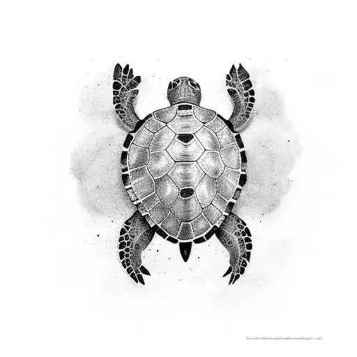 A Black-grey Sea Turtle With Subtle Reid Elements