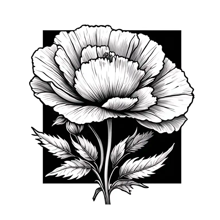 Poppy Flower And Leaves