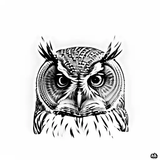 Trippy Owl 360 Head