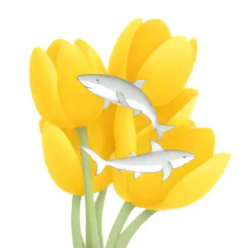 Tulips And A Shark