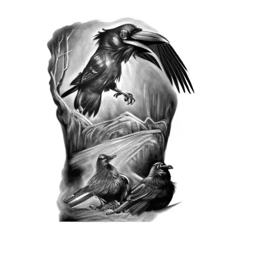 A Raven And A Crow