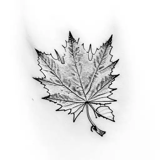 Cn Tower With Maple Leaf And Winter Elements