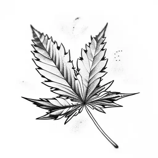 Universe Inside A Cannabis Leaf