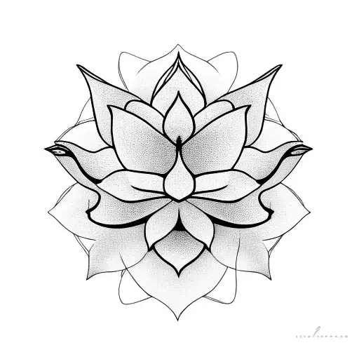 Lotus Flower Cardinals