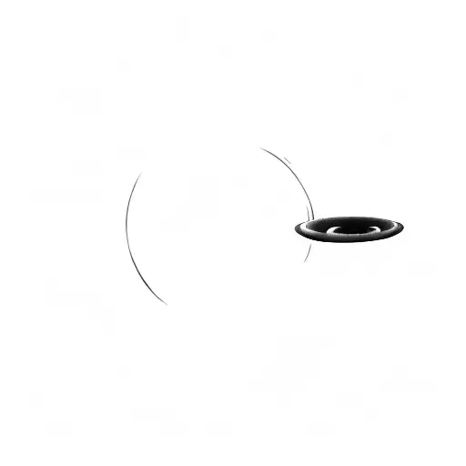 A Black Hole With Galaxy Inside