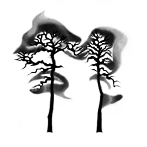 A Tree With Aurora Borealis Above