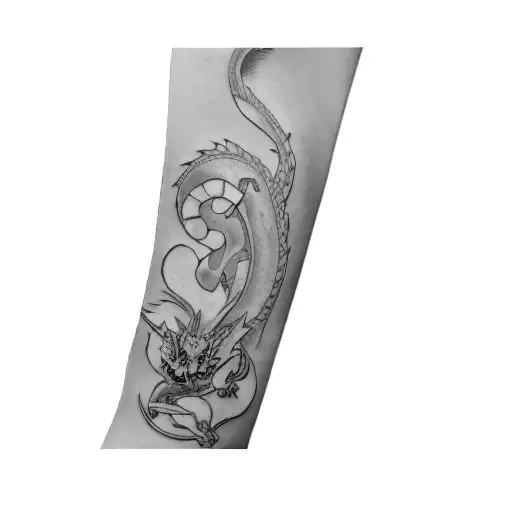 A Dragon With Sakura Flowers