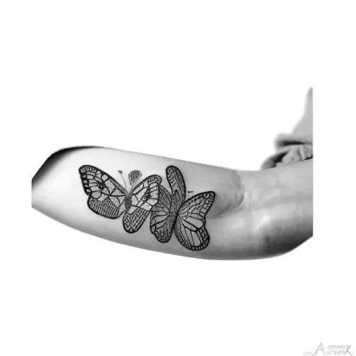 A Butterfly And A Star