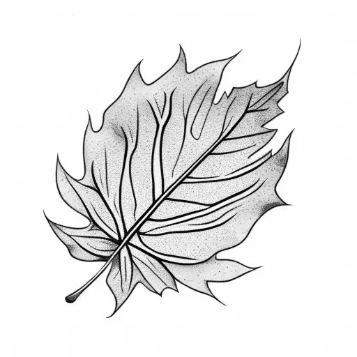 Leaf