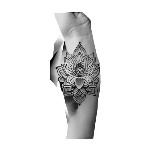 A Lotus Flower And A Yin Yang Fish