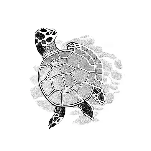 A Turtle Dj Mixing Music On Turntables