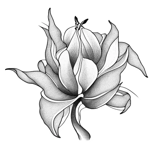 Peach Tulip And Bird Of Paradise Flower