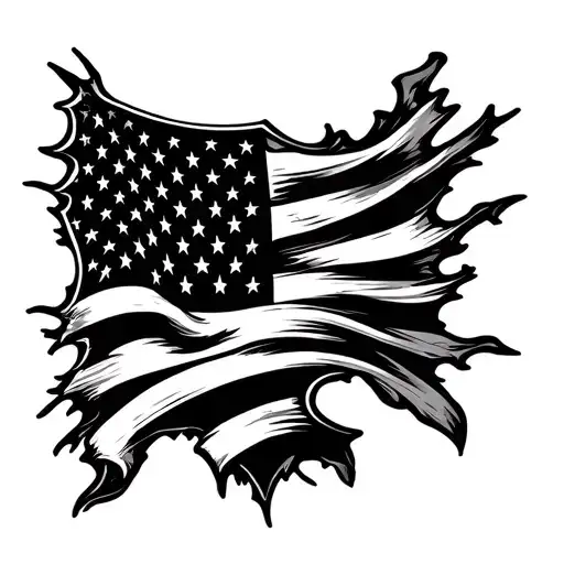 Usa Flag Drapped Over Shield
